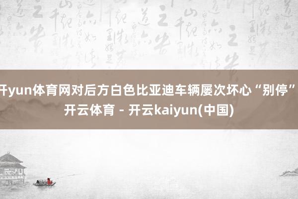 开yun体育网对后方白色比亚迪车辆屡次坏心“别停”-开云体育 - 开云kaiyun(中国)