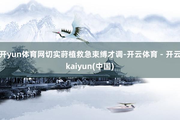 开yun体育网切实莳植救急束缚才调-开云体育 - 开云kaiyun(中国)